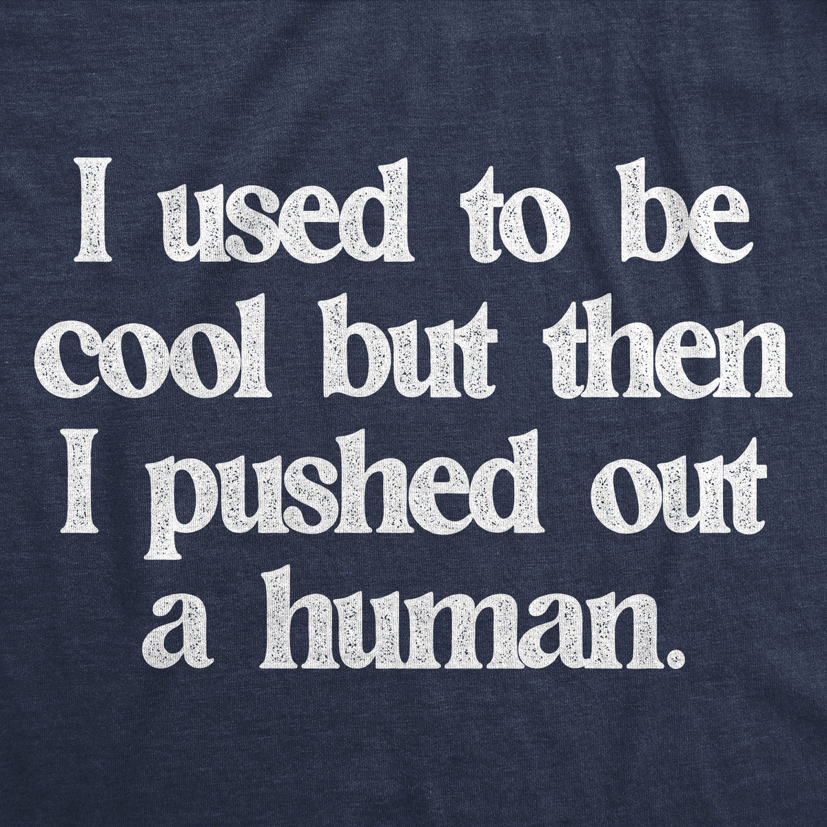 I Used Be Cool But Then I Pushed Out Human T-Shirts