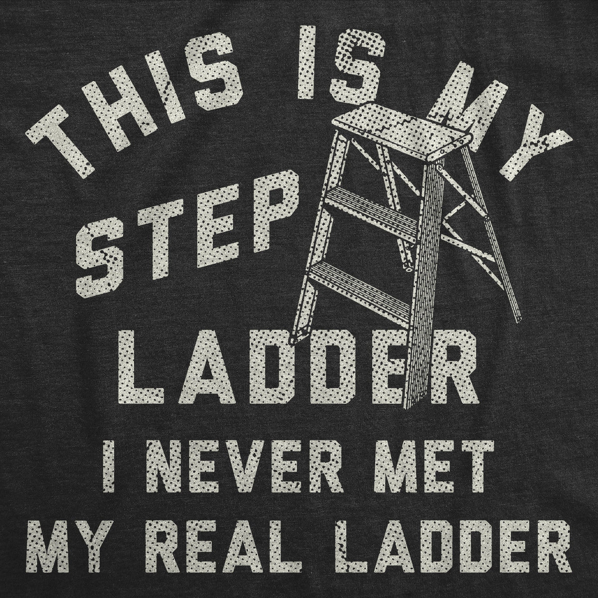 This Is My Step Ladder T-Shirts