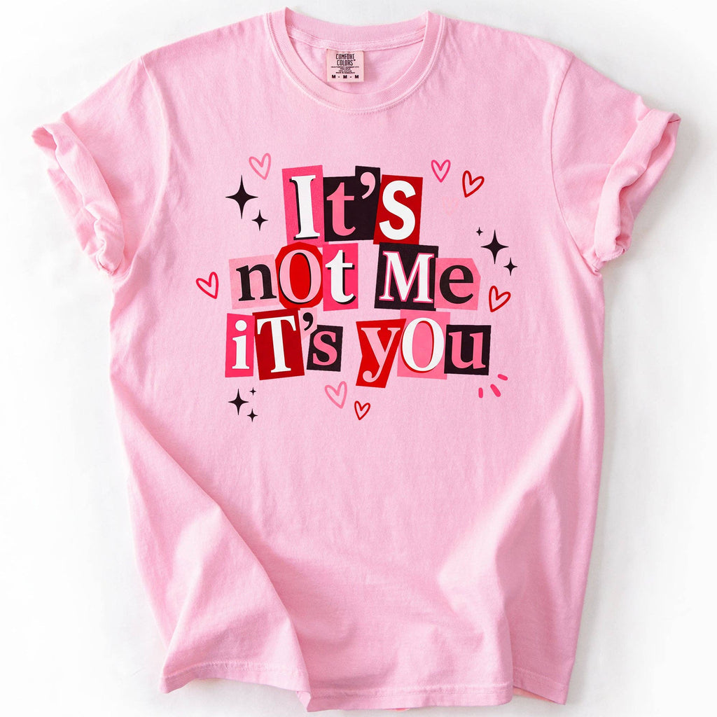 It's Not You, It's Me, Valentine's Day, Love, Funny, T-Shirt