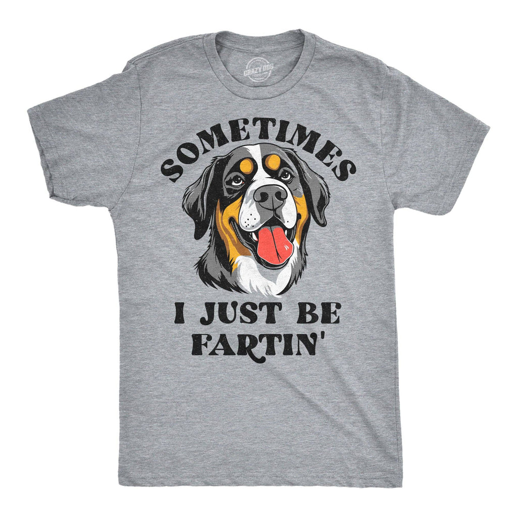 Sometimes I Just Be Fartin Men's T Shirt