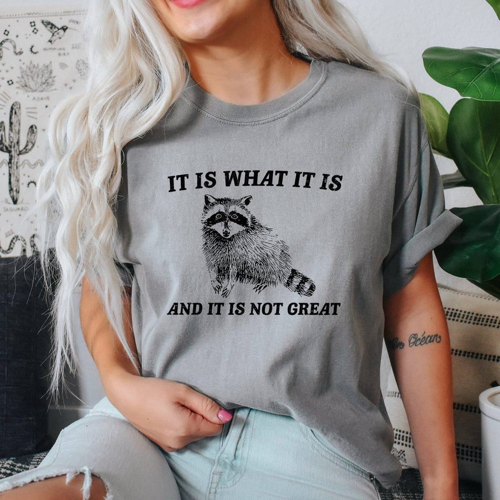 It Is What It Is and It Is Not Great, Raccoon, Meme, Aesthetic, Funny, Comfort Colors Tshirt