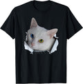 Ironpower Cute Cats