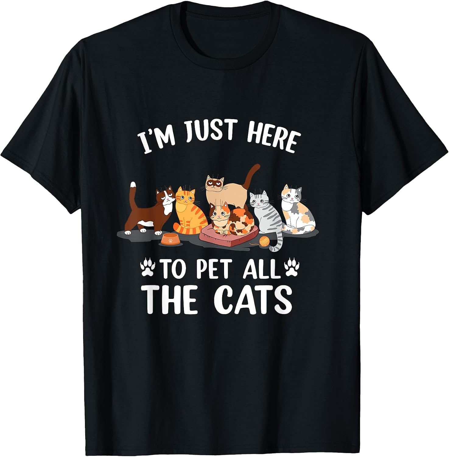Cat Lover Gift Ideas