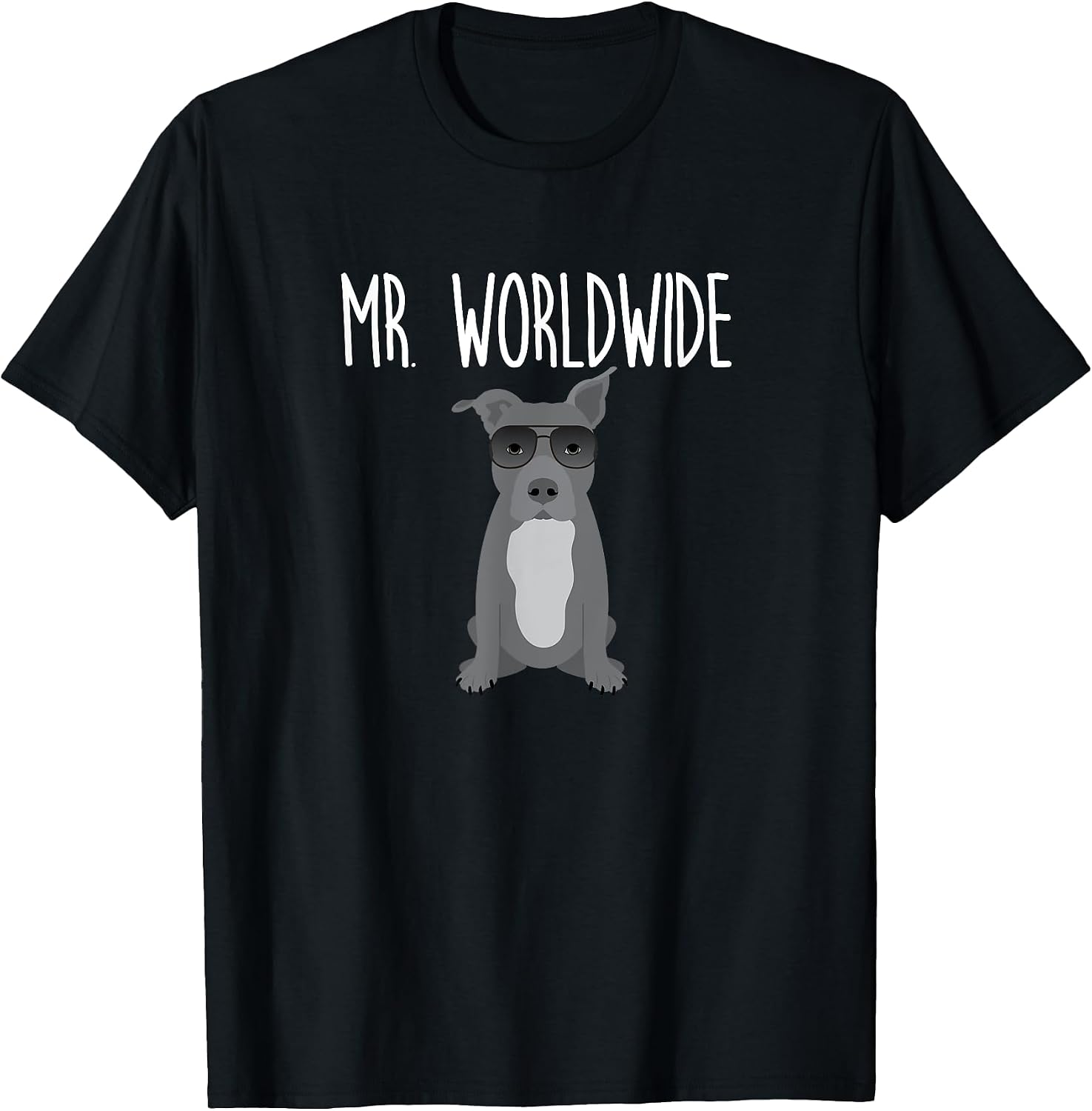 Mr. Worldwide Funny Pitbull Tshirt T-Shirt