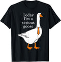 Today I'm A Serious Goose t -shir t
