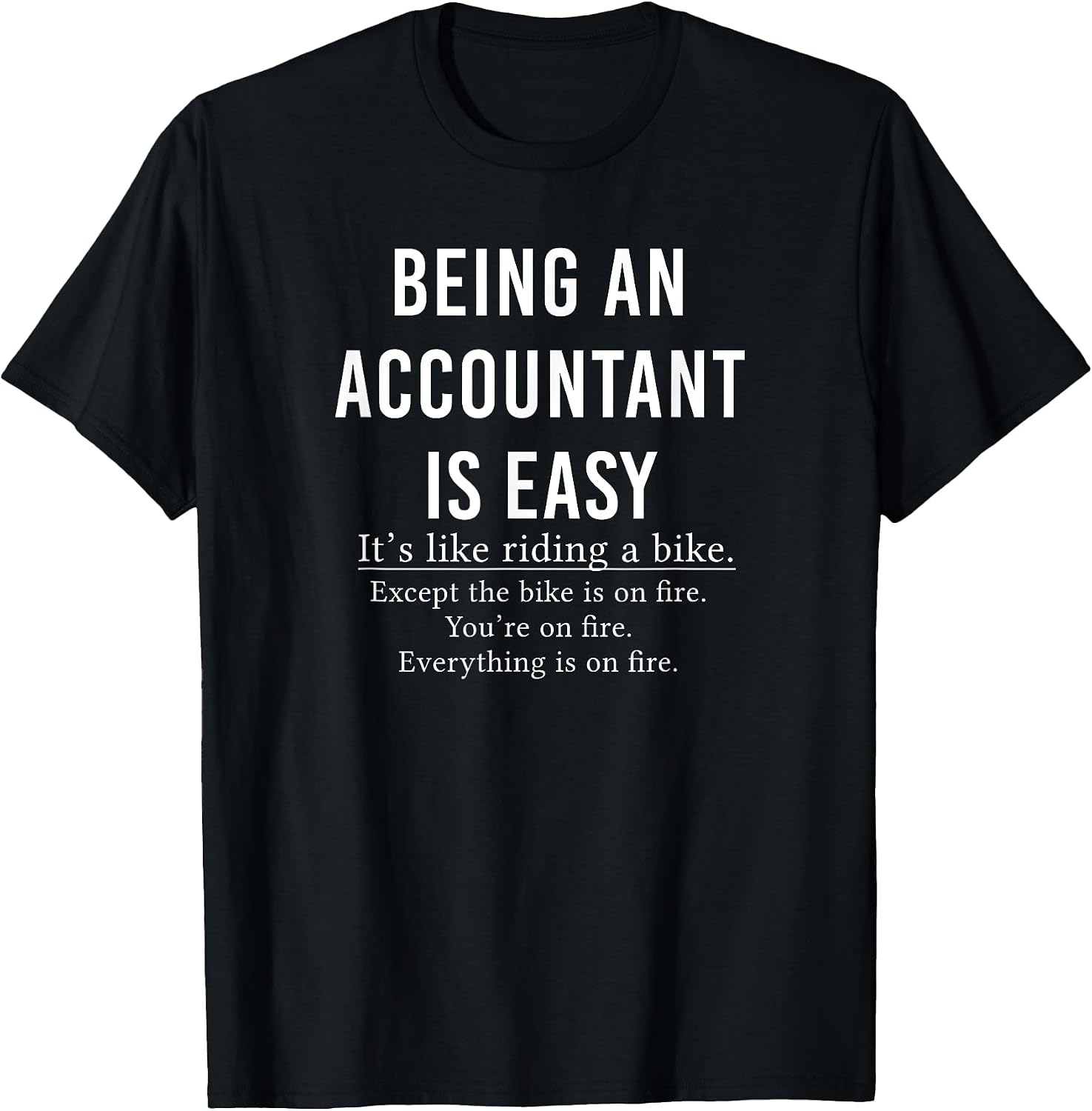 Funny Accountant Co