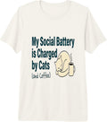 Introvert Cat Person