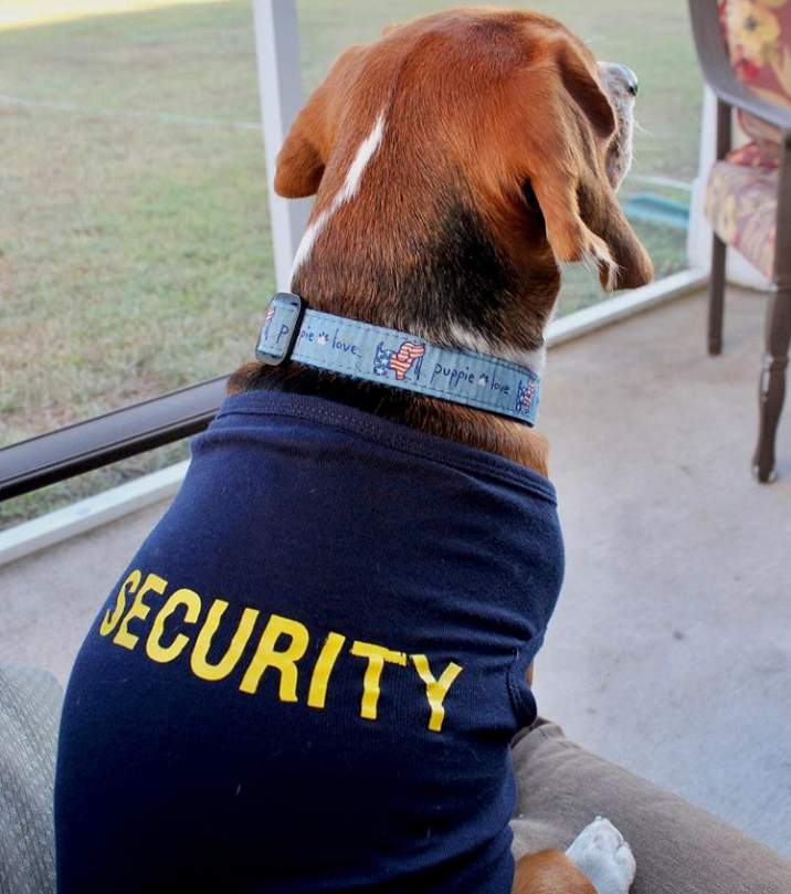 Security Dog Shirt T-Shirts
