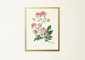 Vintage floral print, vintage wall art, botanical illustration, reproduction, rose horticulture art, antique art, kitchen art, old fashioned