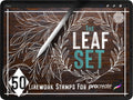 50 Leaf Design Brush Stamps For Procreate