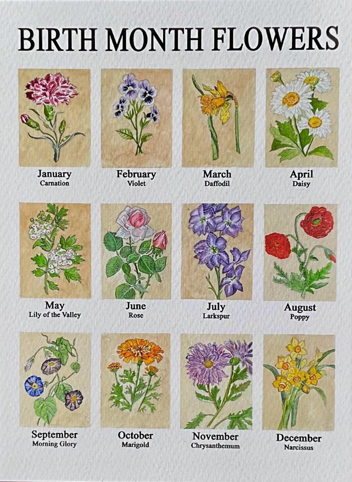 Birth Month Flowers