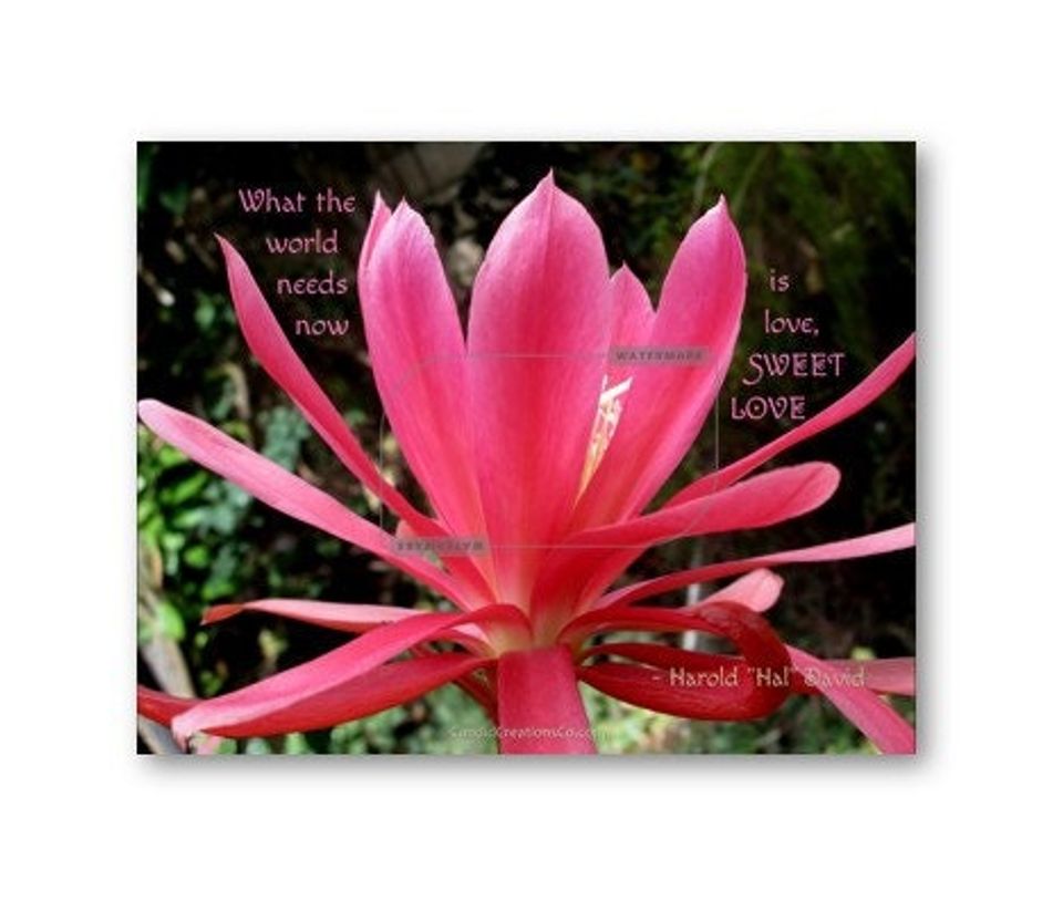 Mother's Day Wall Art Gift for Home or Office, Epiphyllum Flower Print with a Quote on Love, Personalized Orchid Cactus