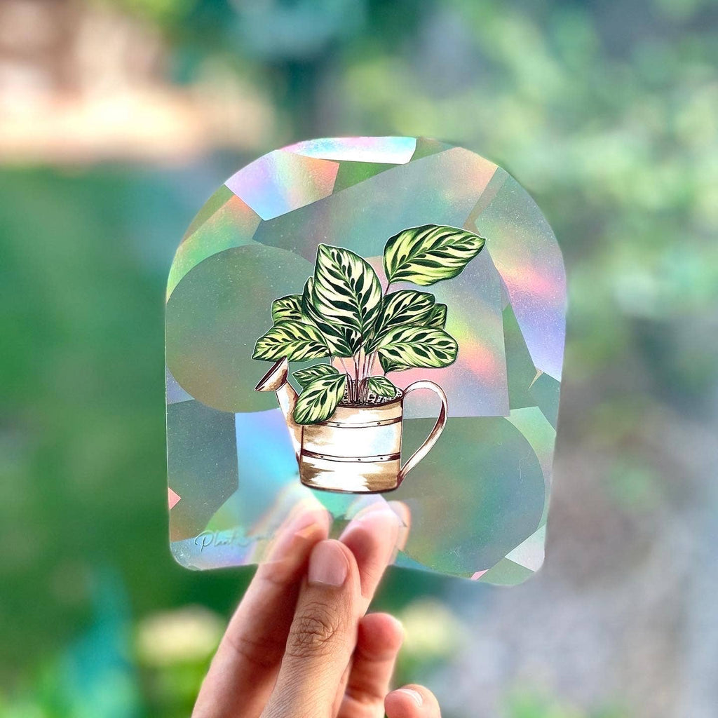 Rainbow Making Suncatcher Window Decal Sticker - Calathea
