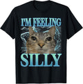 Funny Saying Cat Lover I'm Feeling Silly Cat Meme