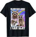 Raccoon Meme Woman Rizz