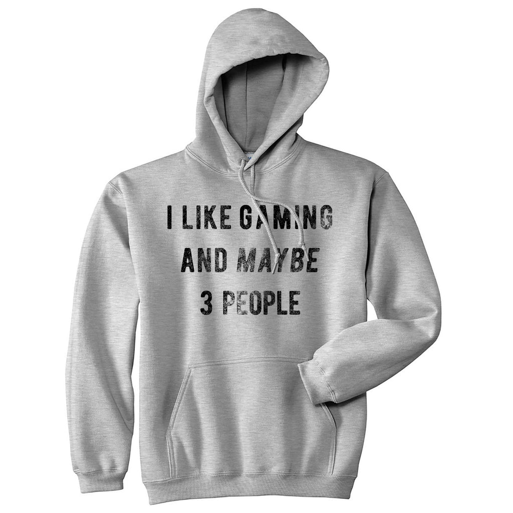 I Like Gaming and Maybe 3 People Hoodie