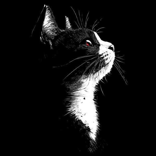 Attentive Cat