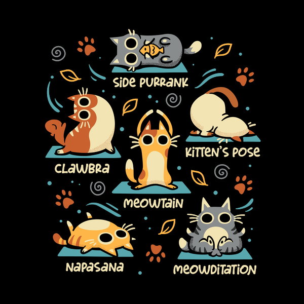 Cat Yoga Poses Funny Zen Kittens