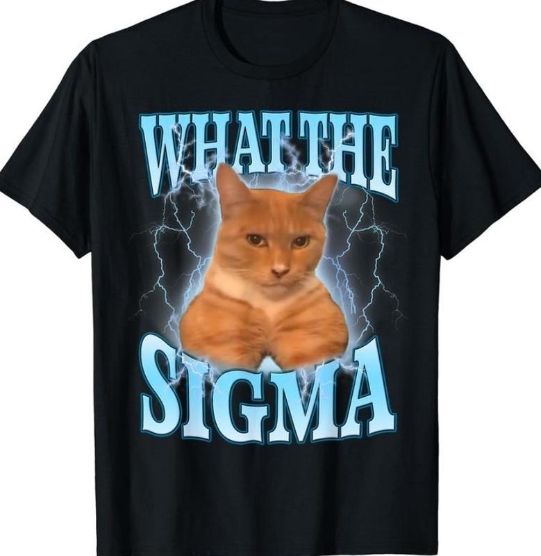 ERM What Sigma Meme Cat Ironic Brainrot Y2K T-Shirts