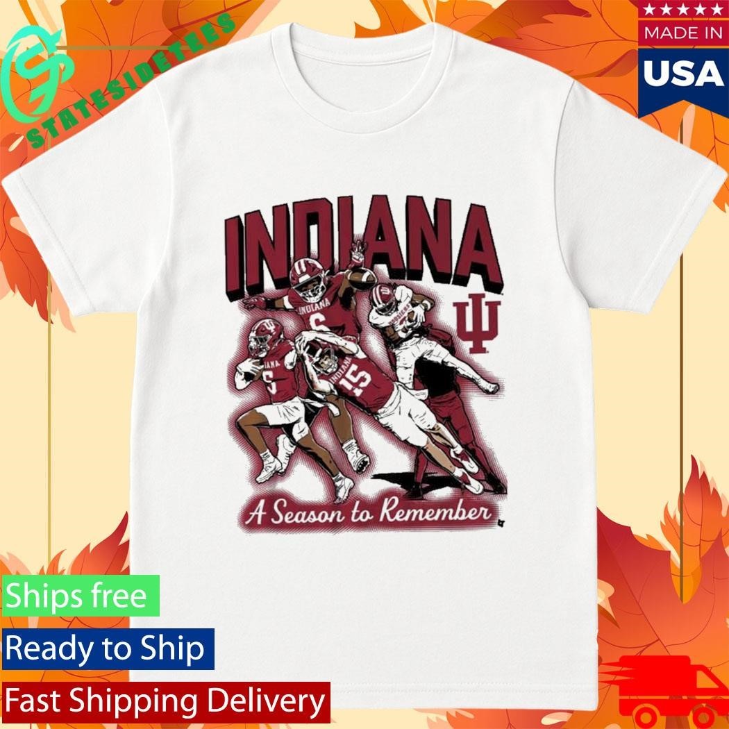 Fernando Mendoza Touchdowns A Season To Remember Unisex , , , Long Sleeve Tee