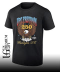 Freedom 250 Washington DC Distressed Eagle Patriotic shirt