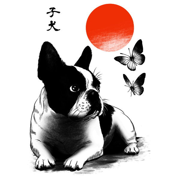 Frenchie Under The Sun