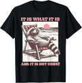 Funny Raccoon Shirt Is What Is Is Not Great Funny Raccoon Relax Available Size S 5XL Vintage Raccoon T-Shirts