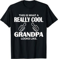 Funny Shirt Grandpa This Is What Really Cool Grandpa Like Funny Classic T-Shirts