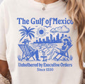 Gulf Mexico Shirt Trump Democrat Trump Progressive Liberal Funny Political Resist Shirt T-Shirts