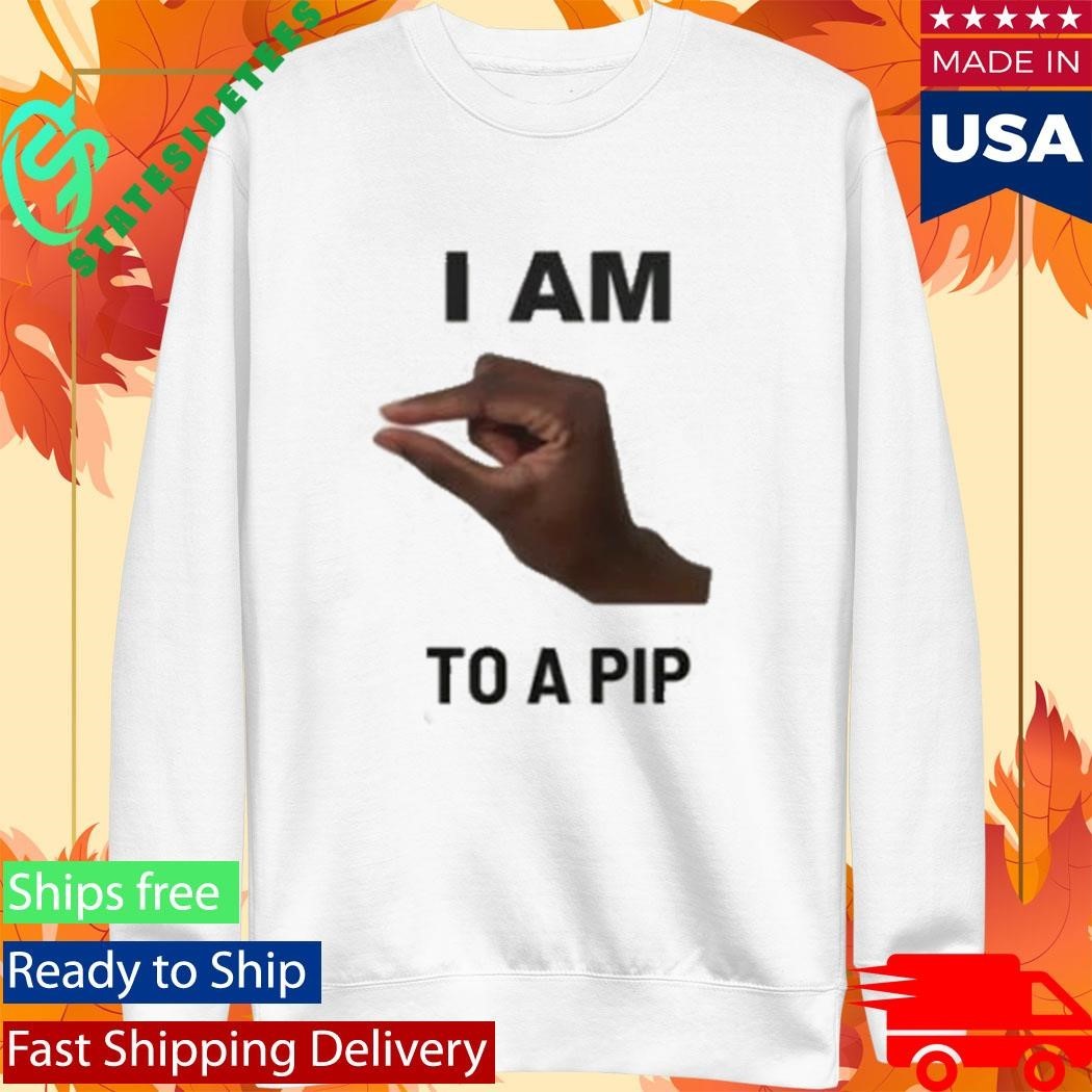 I Am This Close To A Pip Shirt Unisex , , , Long Sleeve Tee