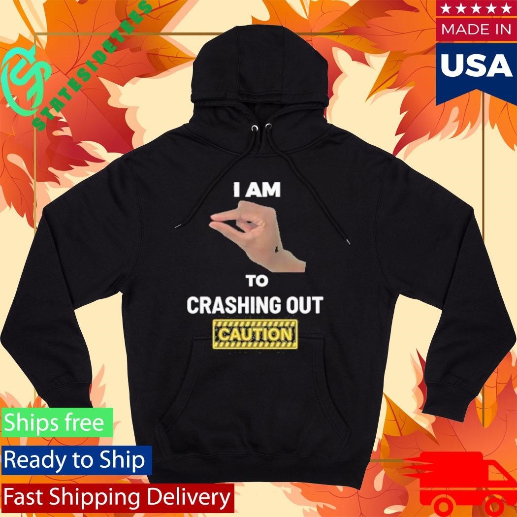 I Am This Close To Crashing Out V1 Shirt Unisex , , , Long Sleeve Tee