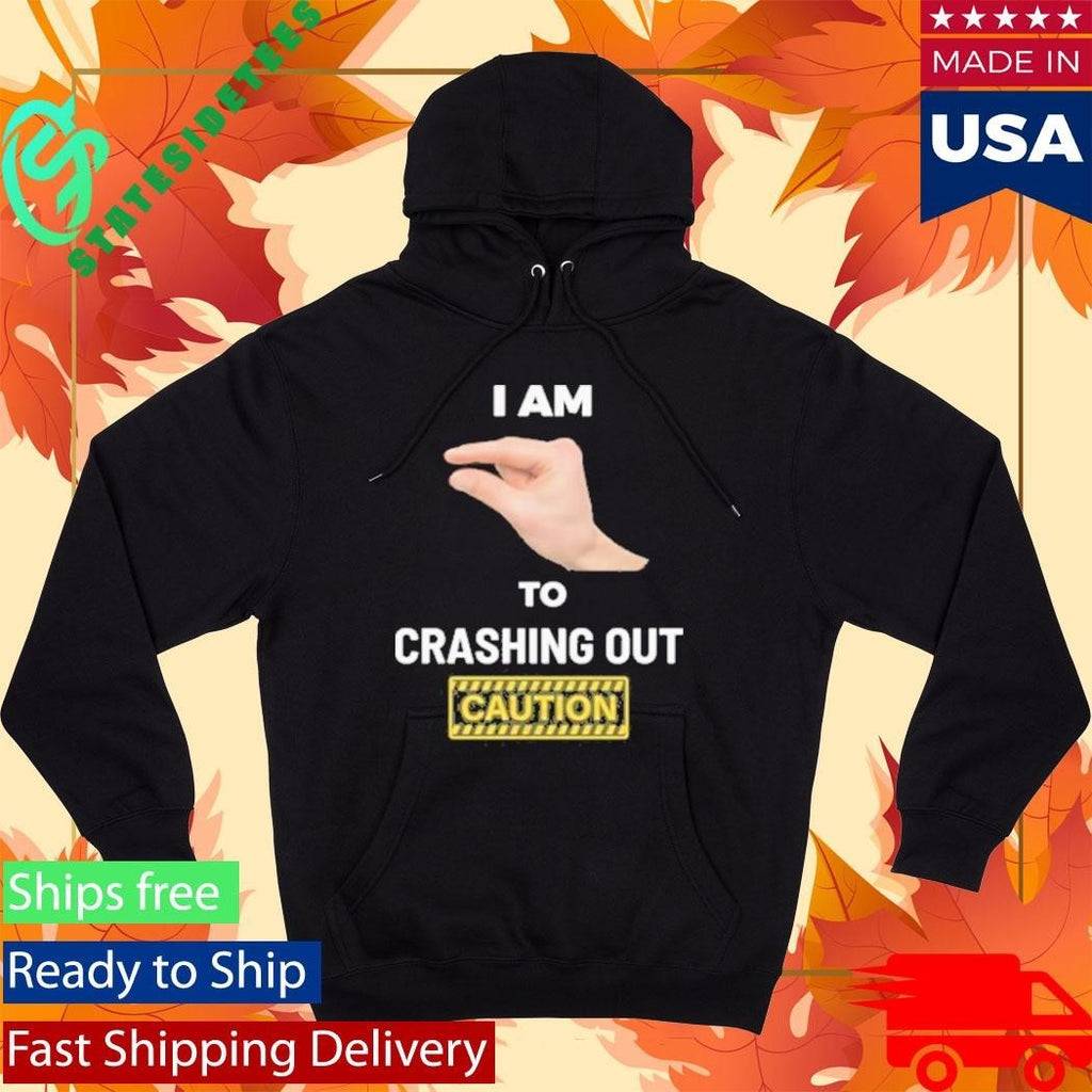 I Am This Close To Crashing Out V2 Shirt Unisex , , , Long Sleeve Tee