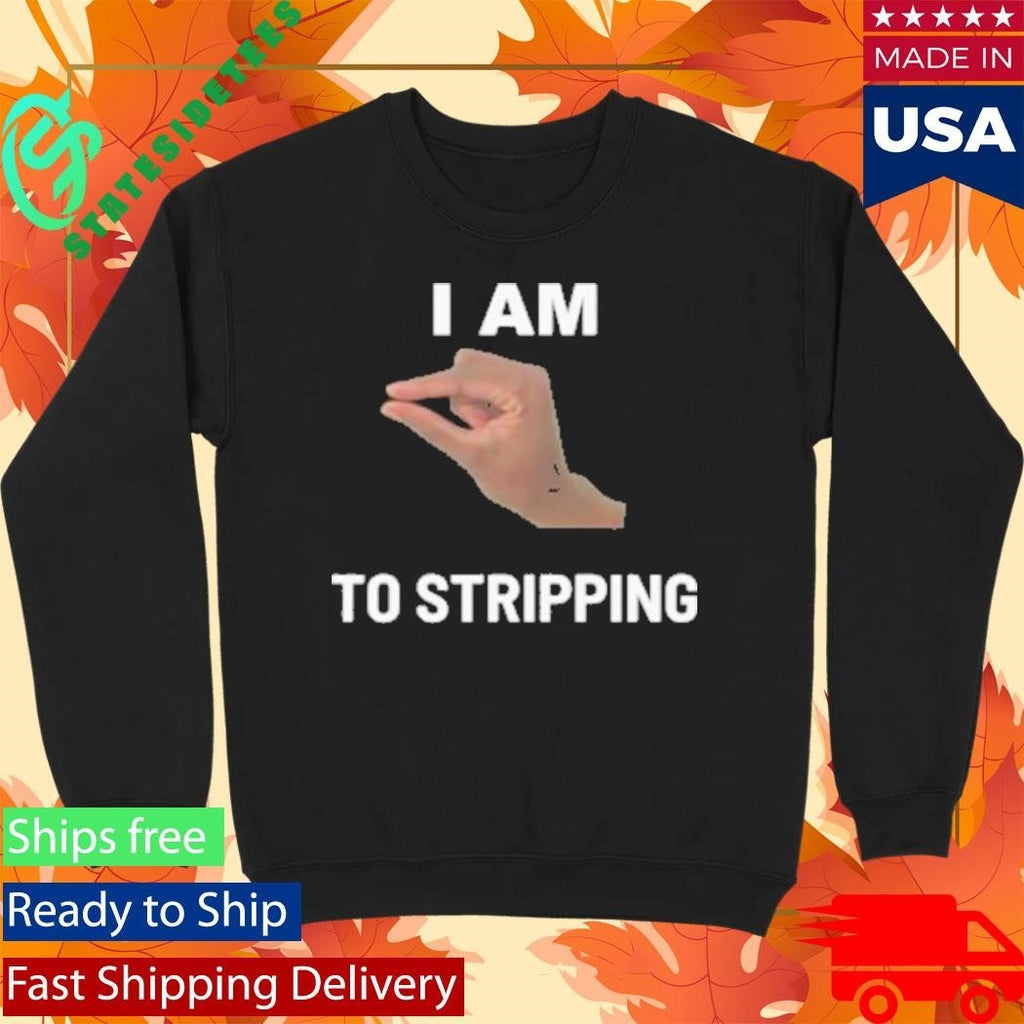 I Am This Close To Stripping V1 Shirt Unisex , , , Long Sleeve Tee