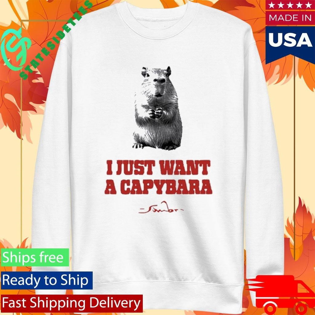 I Just Want A Capybara Shirt Unisex , , , Long Sleeve Tee