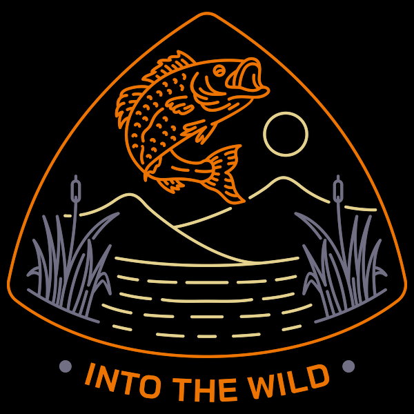 Into The Wild 1