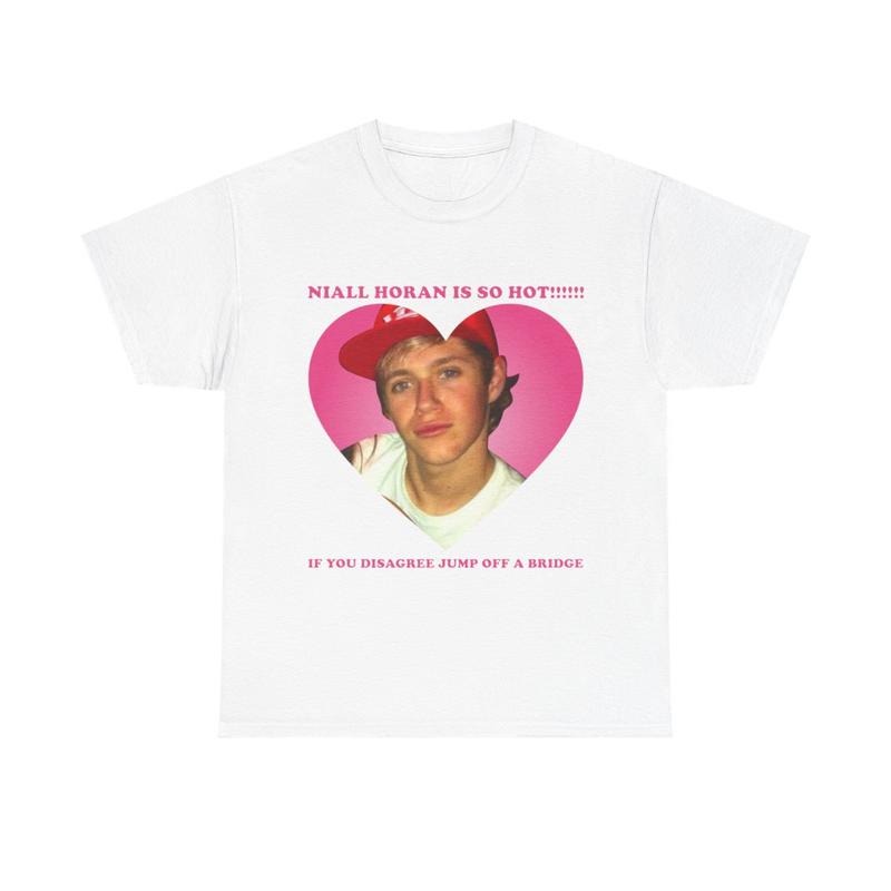 Niall Is Is So Hot Meme Shirt T-Shirts