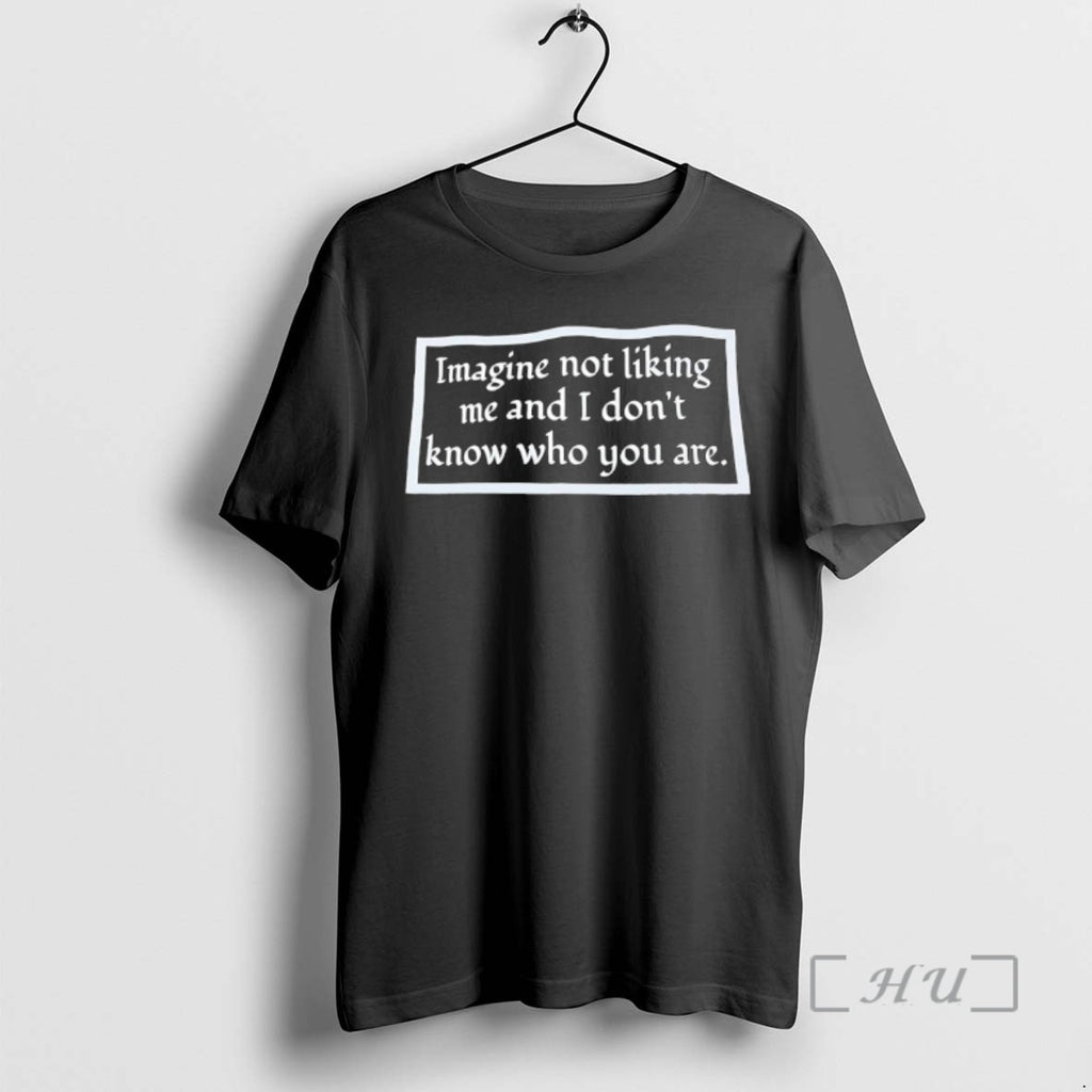 Officials Imagine Not Liking Me And I Dont Know Who You Are Premium T Shirts