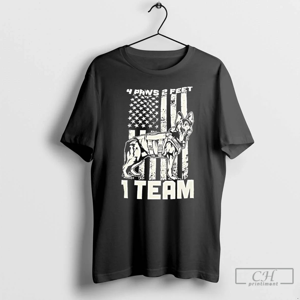 Dog 4 Paws 2 Feet 1 Team Usa Flag