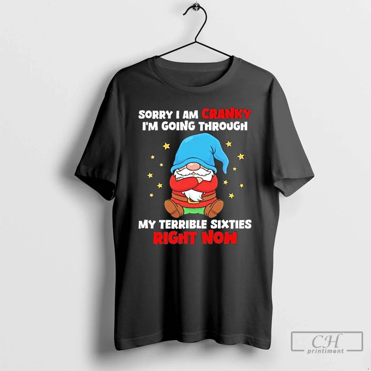 Gnome Sorry I Am Cranky Im Going Through My Terrible Sixties