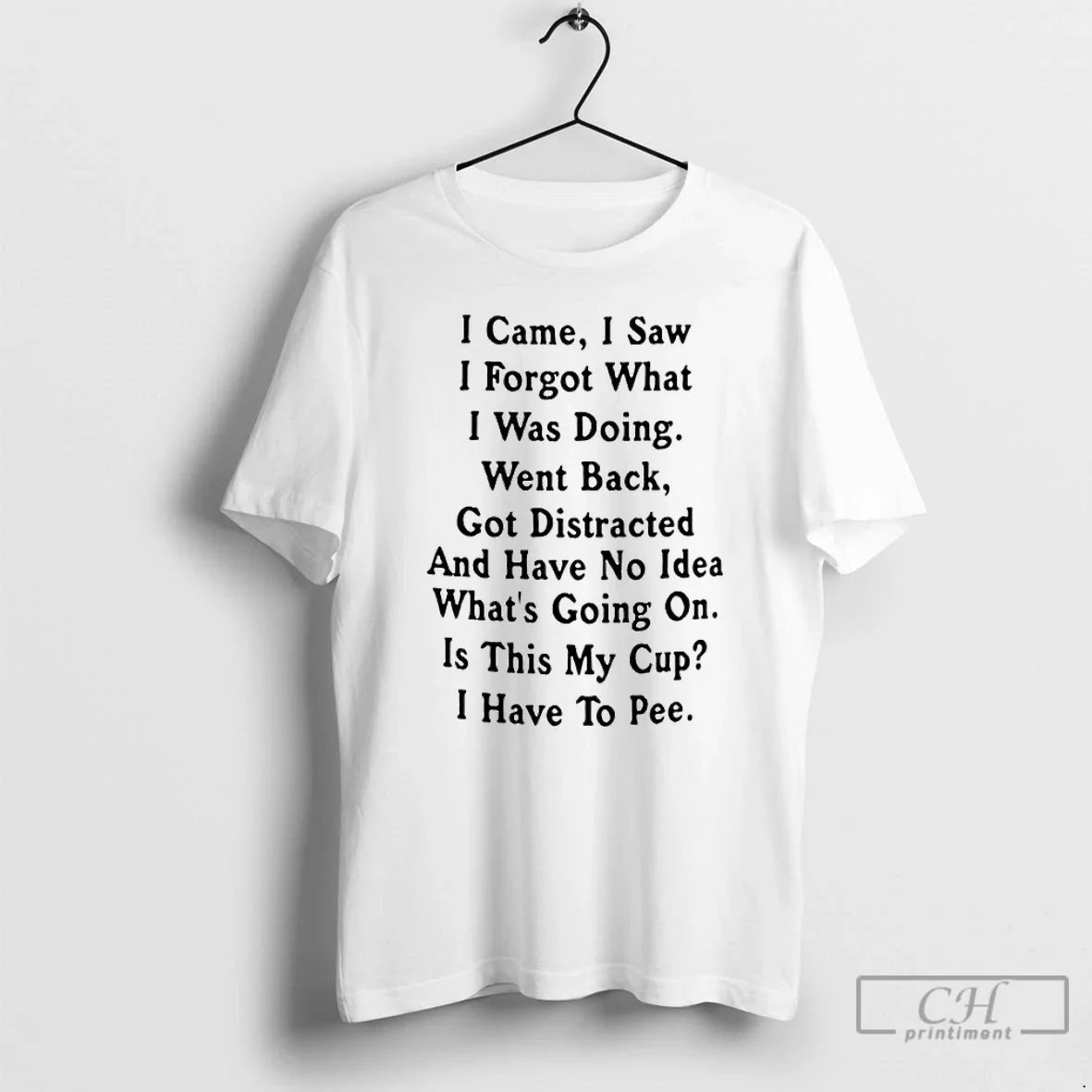 I Came I Saw I Forget What I Was Doing Went Back Got Distracted
