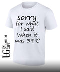 Sorry for what I said when it was 39 degrees celsius shirt