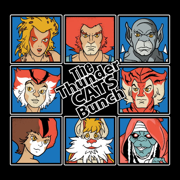 Thundercats Bunch