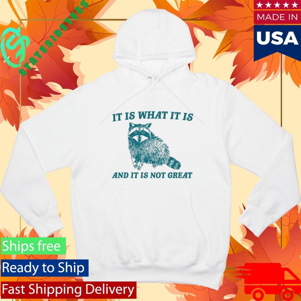 Tracketpacer Racoon It Is What It Is And It Is Not Great Shirt Unisex , , , Long Sleeve Tee