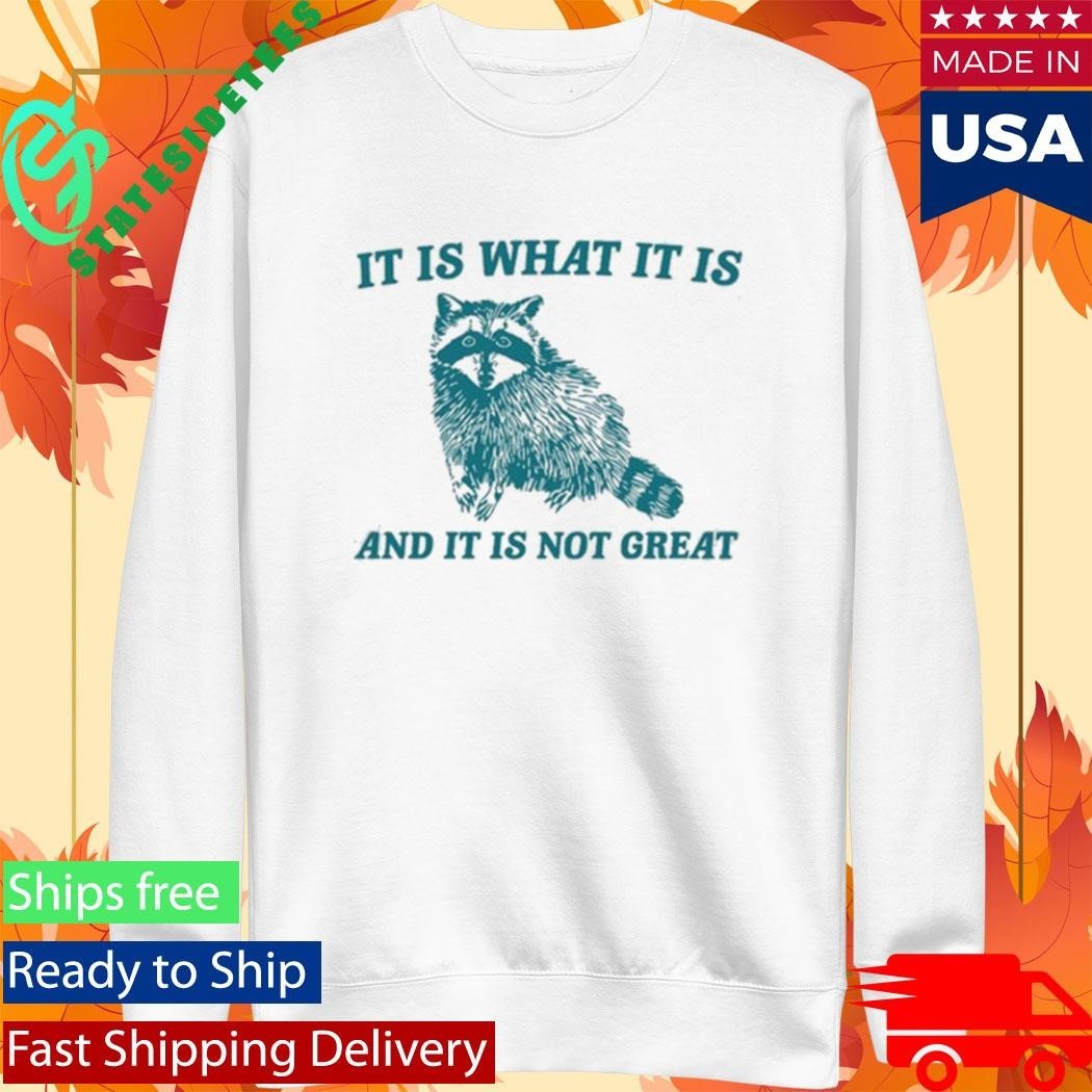 Tracketpacer Racoon It Is What It Is And It Is Not Great Shirt Unisex , , , Long Sleeve Tee