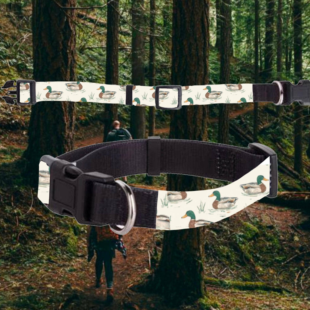 Mallard Duck Hunting Dog Buckle Collar