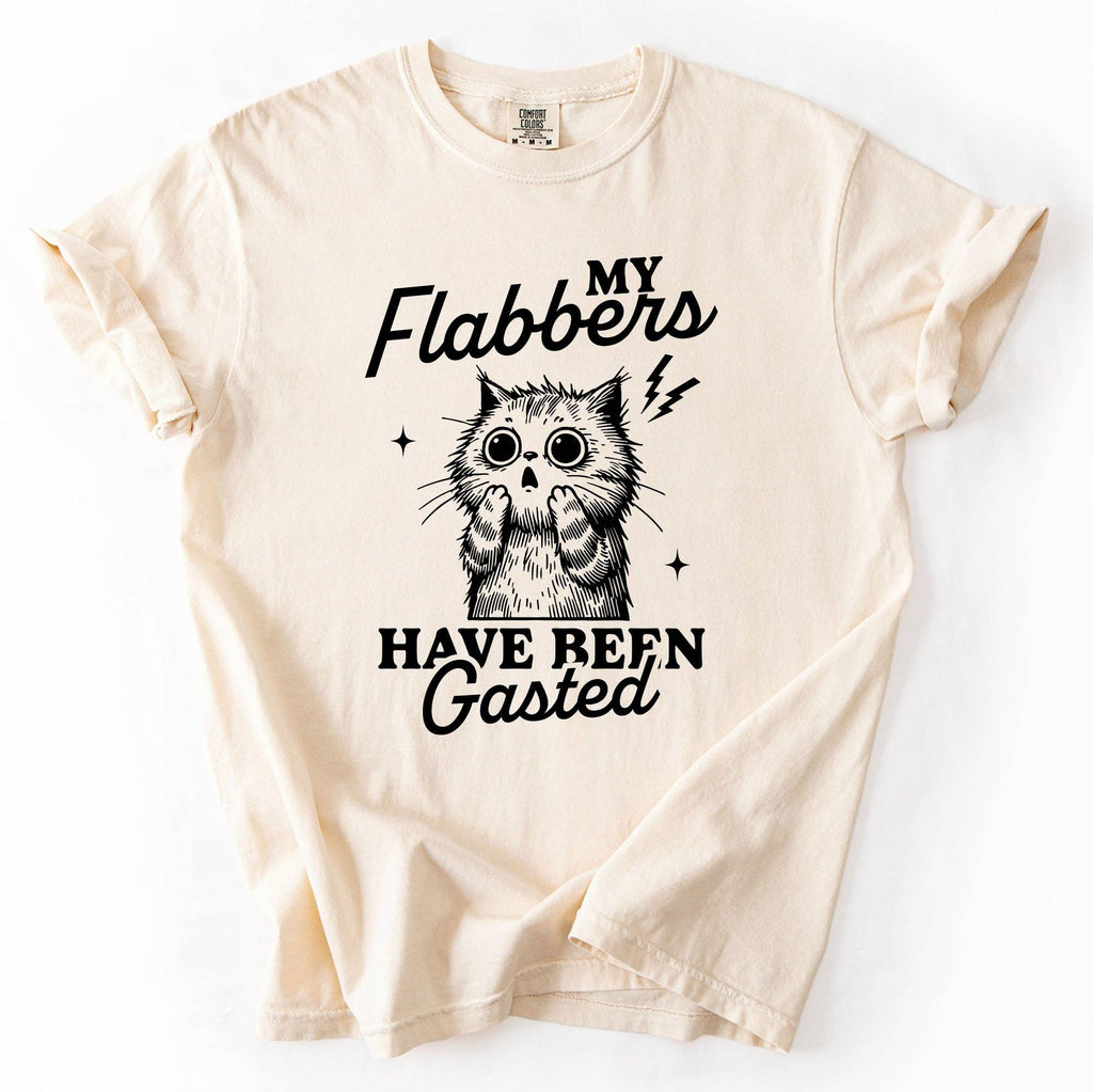 My Flabbers Have Been Gasted, Funny, Sassy, Sarcastic Tshirt
