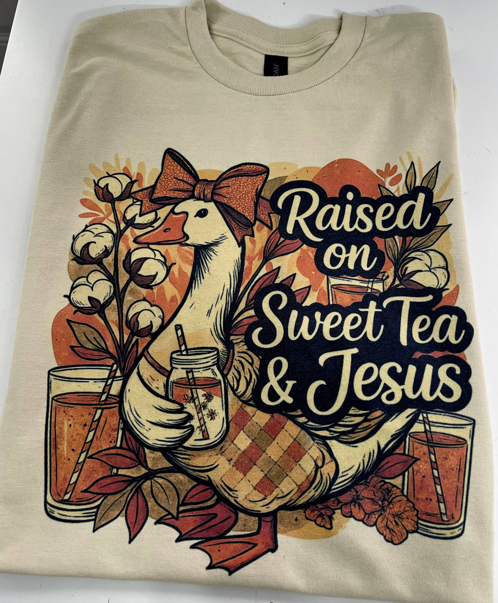 Raised On Sweet Tea and Jesus T-Shirt/ Sweatshirt