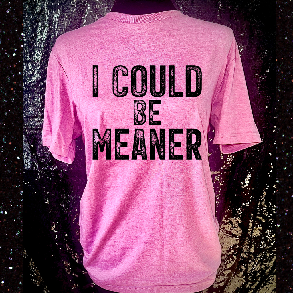 I Could Be Meaner T-Shirt