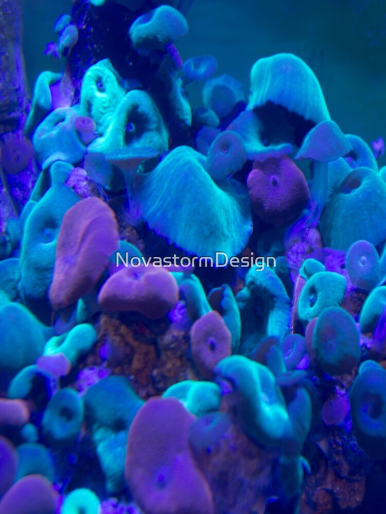 Bioluminescence by NovastormDesign