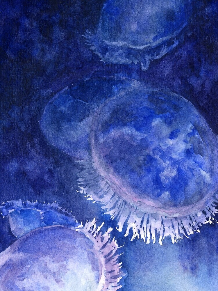 Watercolor Moon Jellyfish at the Seattle Aquarium by purple-mango